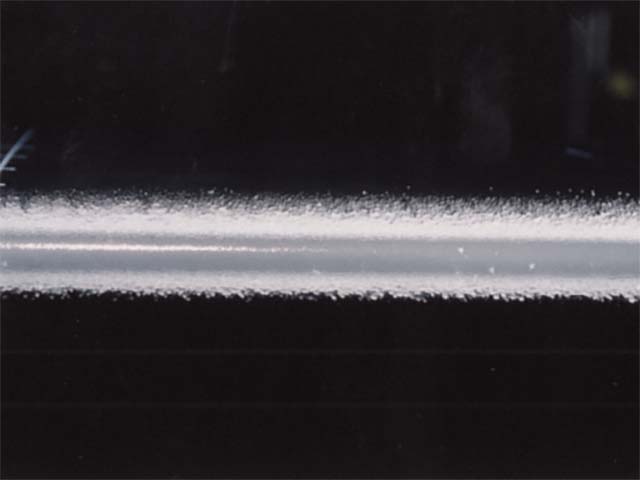 Wing ice formation on model in the Icing Research Tunnel
